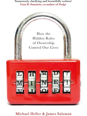Storemax Oktaysell Mine!: How The Hidden Rules Of Ownership Control Our Lives