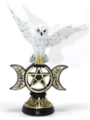 Polyester Baykuş Biblo