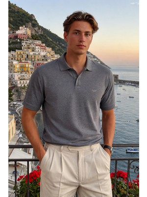 Damga Erkek Basic %100 Pamuk Füme Polo Yaka Tişört