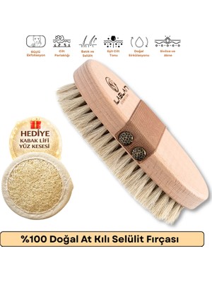 İlaslan Kozmetik %100 Doğal At Kılı Selülit Fırçası Batık Tüy ve Çatlak Görünümüne Karşı Vücut Bakım Fırçası