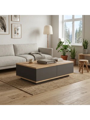 L'occi Concept Delphin Orta Sehpa 2 Kapaklı Çam-Antrasit DLP14-AA