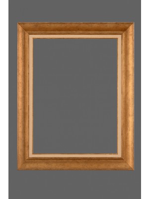 Giyense Gümüş Çerçeveli Tablo NU668