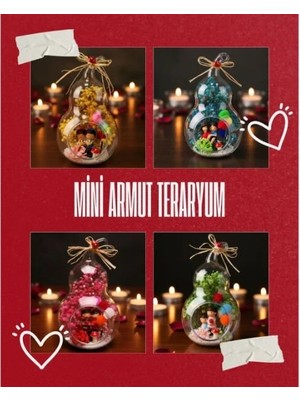 EkoAlışverişDünyam Mini Armut Teraryum - Özel Gün Hediyesi