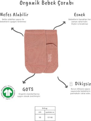 NW NessiWorld 5'li Penye Soket Kutulu Basic Çorap 10131 Pudra