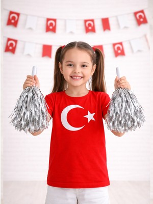 Parti Adresi Metalik Ponpon Gümüş 2'Li