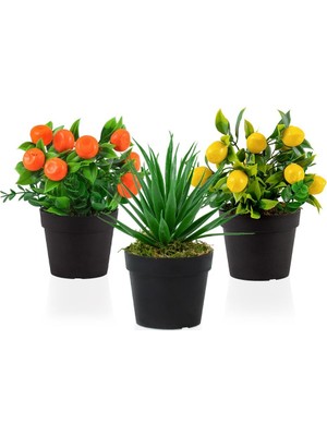 Çiçekmisin 3’lü Set Siyah Mini Plastik Saksıda Yapay Mandalina, Aloe Vera ve Limon Çiçeği