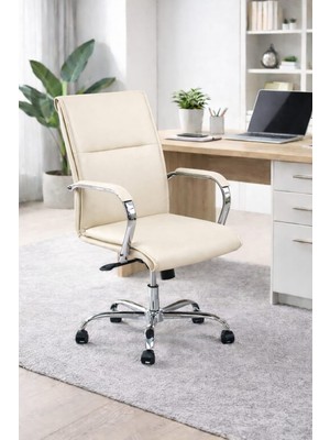 YRN Ofis Ofis Çalişma Koltuğu Personel Sandalyesi Büro Müdür Koltuğu