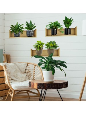 Sepetopia -Raflı Bitki Tasarımlı Yapışkanlı Sticker 20*30 cm 3lü Set (5534)