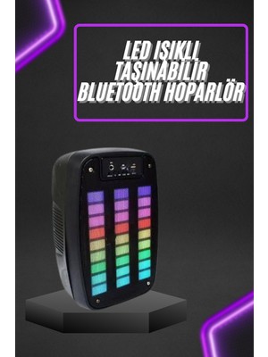 Marsilyan Taşınabilir 6.5 Inç LED Bluetooth Kareoke Hoparlör Rgb Işıklı Radyolu