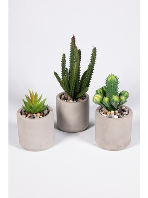 Yapay Çiçekçiniz Gri Beton Saksıda 3 Lü Kaktüs Seti Bej Renkli Uzun Ömürlü Aksesuar