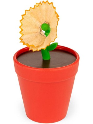 Data Store Saksıda Çiçek Kalemtıraş