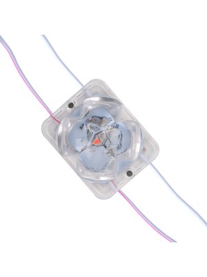 Powermaster 12 Volt 2 Watt (R+B) Yanıp Sönen Çakar Modül LED