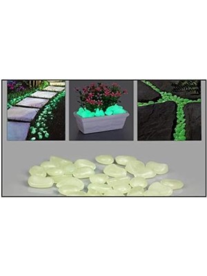 Data Store Fosforlu Çakıl Taşları (50 Adet)