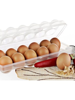 Mikasso Eggo Yumurta Saklama Kabı Şeffaf Plastik