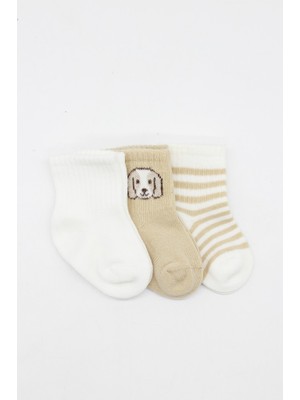 NessiWorld Bistyle Dog Boy 3'lü Penye Soket Çorap 10134 Ekru