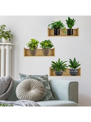 Ett Raflı Bitki Tasarımlı Yapışkanlı Sticker 20*30 cm 3lü Set
