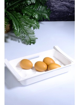 Mikasso Pratik Geçmeli Mandallı Raf Yumurtalık 15'li Dolap Içi Yumurta Dizme Organizeri Plastik Beyaz