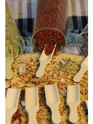 Mikasso 9' Lu Mini Bambu Ölçek Kaşığı (Küreği), Lüks Mini Kürek Baharatlık Kaşığı Çelik Çok Renkli