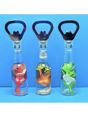 Mikasso Dny Şişe Model Mıknatıslı Gazoz Açacağı Çok Renkli Çam