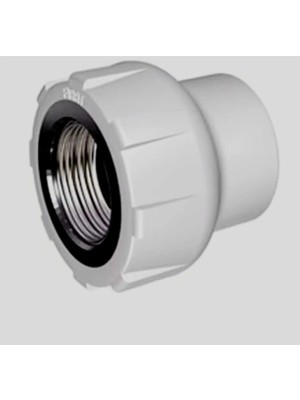 Mikasso (2ADET) Iç Dişli Adaptör 25 Lik Nipel