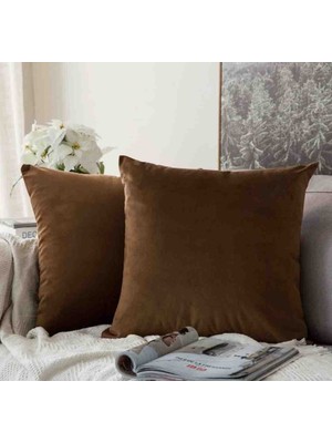 Ayzen Home 2 Adet 43X43 Kadıfe Kırlent