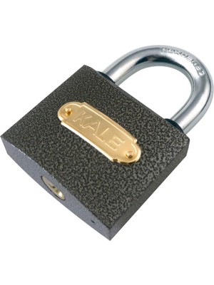 Aesco Kale 25 mm Gri Asma Kilit KD-001/10-125