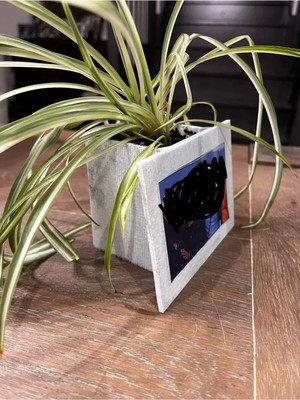 LTG Nova Ahşap Fotoğraf Çerçeveli Saksı - 2'si 1 Arada Dekoratif Bitki Standı Ev Ofis