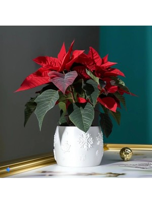 LTG Nova Kar Tanesi Desenli Dekoratif Saksı 11X15X15CM - Yılbaşı ve Kış Temalı Bitki Saksısı