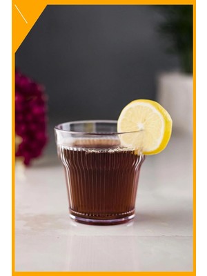 LTG Nova Şeffaf Akrilik Kırılmaz 300 ml Su ve Meşrubat Bardağı