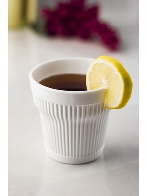 LTG Nova Akrilik 6'lı Bardak Seti - Kırılmaz, Bulaşık Makinesinde Yıkanabilir 300 ml