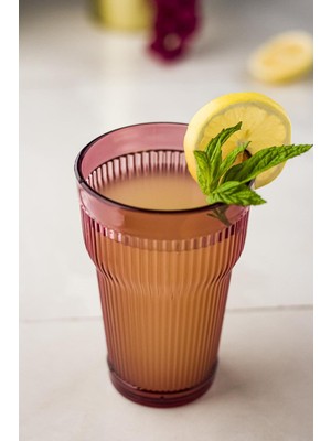 LTG Nova Akrilik 6'lı Mürdüm Rengi Uzun Bardağı Seti - 400 ml Kırılmaz Su Meşrubat Bardağı