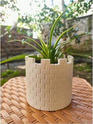 LTG Nova Kurdela Çiçeği - Beyaz Saksıda Canlı Hava Temizleyici Bitki, Ev & Akvaryum Dekoru