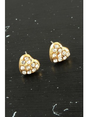 Hsc Bilişim Kalp Taşlı Minik Küpe