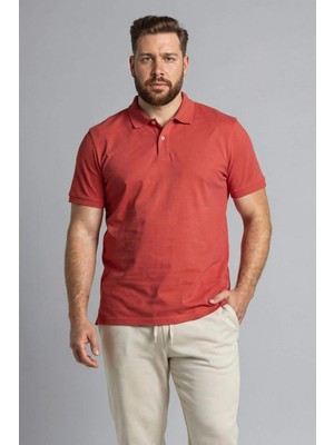 DeFacto Büyük Beden Kısa Kollu TIŞÖRT H1462AX26SM