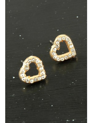 Hsc Bilişim Kalp Taşlı Minik Küpe