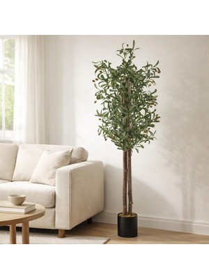Yapay Çiçekçiniz Siyah Renkli Saksı Gerçek Gövdeli 150 cm Yapay Zeytin Ağacı