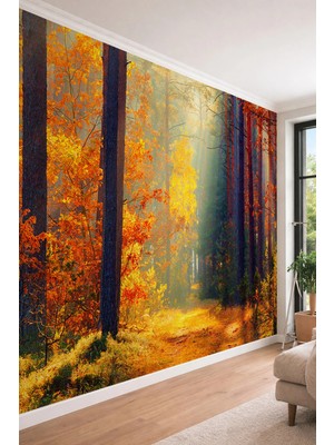 Dreamwall Güneş Işığı Hüzmeli Sonbahar Ormanı Manzaralı Tek Parça Tekstil Duvar Kağıdı