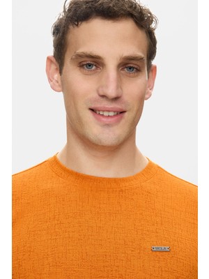 Ucla Taylor Kiremit Bisiklet Yaka Krinkıl Hafif Kumaş Metal Logolu Standard Fit Erkek Tshirt