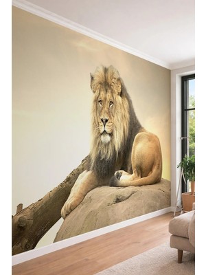 Dreamwall Görkemli Aslan Silüeti - Vahşi Doğa Temalı 3D Etkili Tek Parça Tekstil Duvar Kağıdı