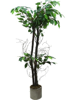 Cihan Çiçekçilik Benjamim 100 Cm Yapay Ağaç 12x12 Metal Saksı