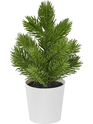 Ikea Vınterfınt Yapay Bitki Yeşil 6 cm Çam