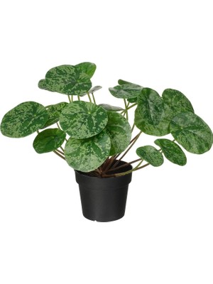 Ikea Fejka Yapay Bitki Yeşil 9 cm Pilea
