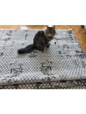 Anutya Home Oslo Krem Gri Premium Bambu Kadife Ince Sık Dokuma Özel Kesim Salon Koridor Halısı