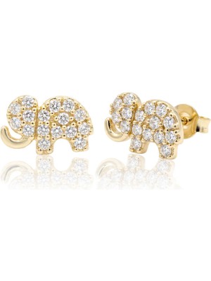 Lilarote Buena Suerte