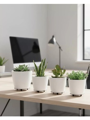 Zenvia 4’lü 3D Beyaz Minimal Dekoratif Vazo Ayaklı Saksı Takımı