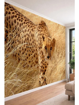 Dreamwall Vahşi Doğa ve Çita - Safari Temalı Tek Parça Tekstil Duvar Kağıdı