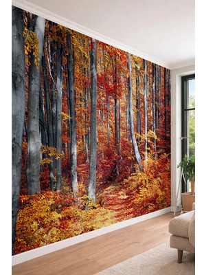 Dreamwall Sonbahar Ormanı - Salon ve Ofis Için Derinlik Etkili Tek Parça Duvar Kağıdı