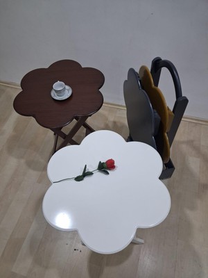 Bengi Ankara Mobilya Zigon Çanta Papatya 90650  Dörtlü  Model Ahşap Mdf Parlak 4  Renk Uyumu El Yapım