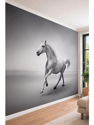 Dreamwall Asil At Illüstrasyonu - Siyah Beyaz Temalı Tek Parça Tekstil Duvar Kağıdı