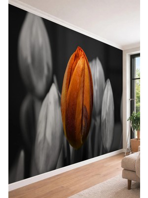 Dreamwall Sanatsal Lale Tomurcuğu - Makro Tasarım Tek Parça Tekstil Duvar Kağıdı